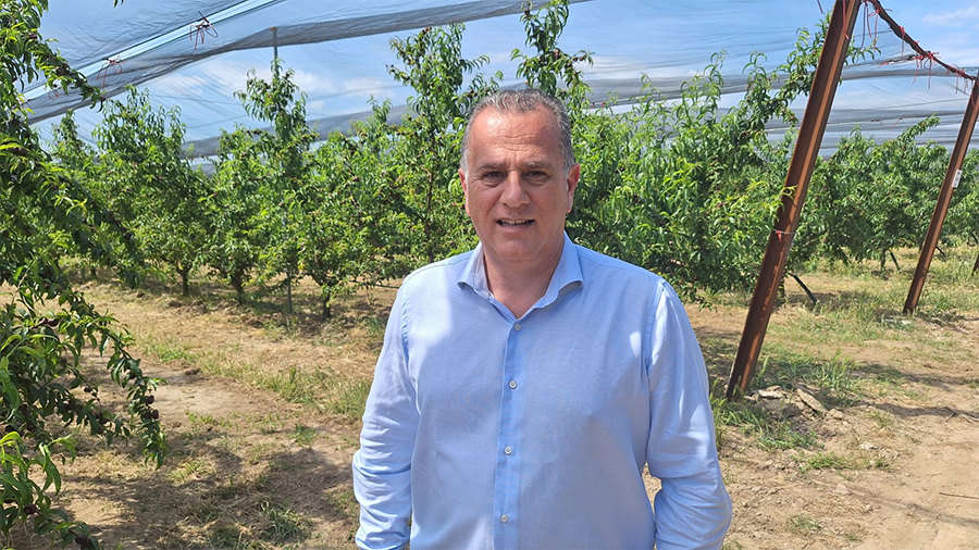 Cristian Moretti, direttore generale di Agrintesa